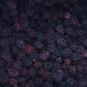 Frozen Blackberry