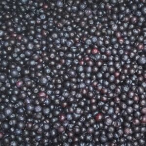 Frozen bluberry