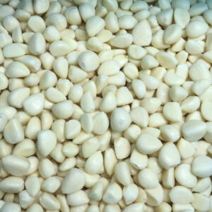 Frozen Garlic Segments